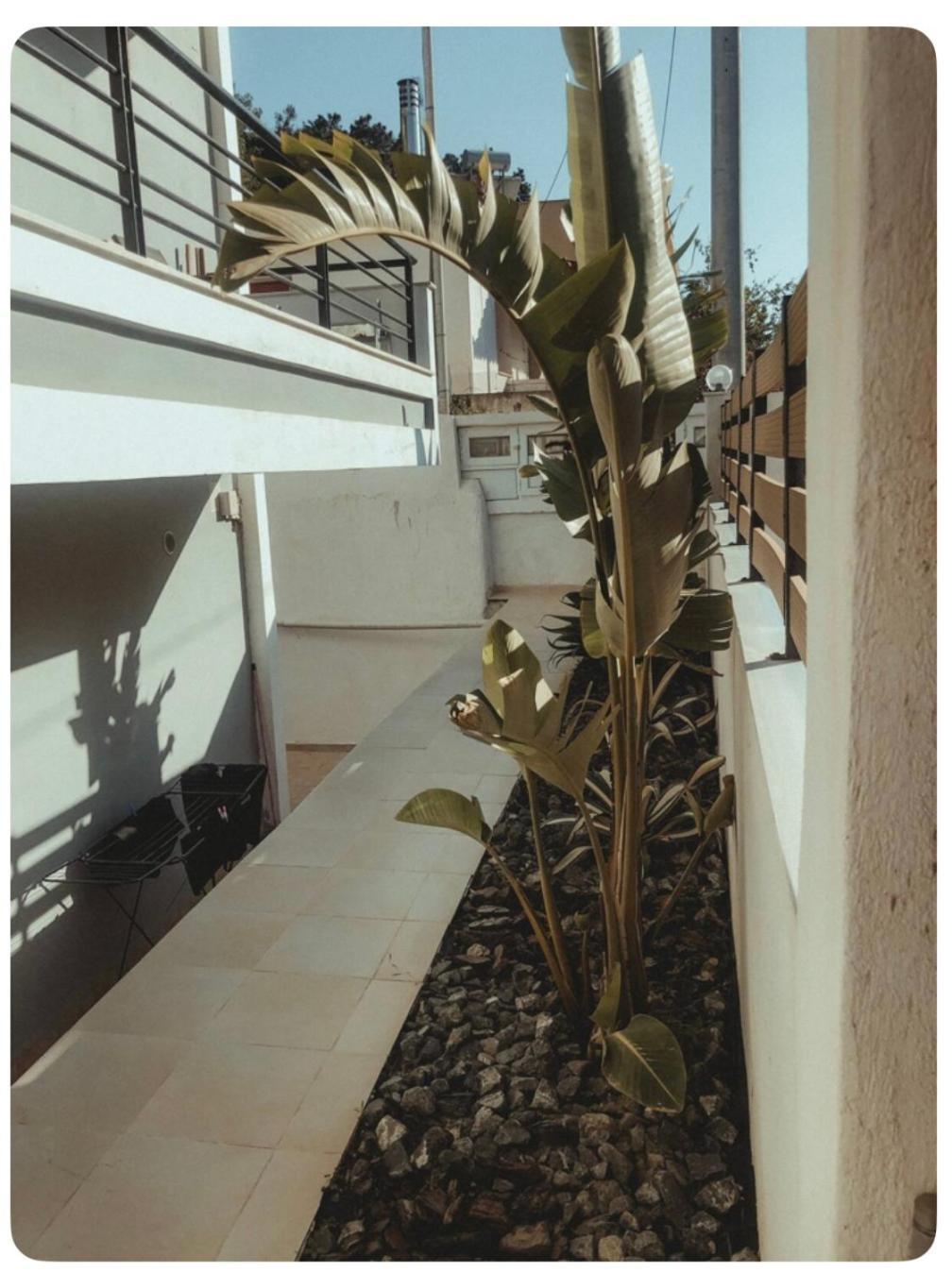Rosemary Modern House In The City Center Korinth Exterior foto